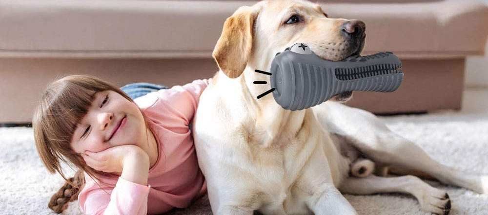 Read more about the article Dog Toothbrush Toys