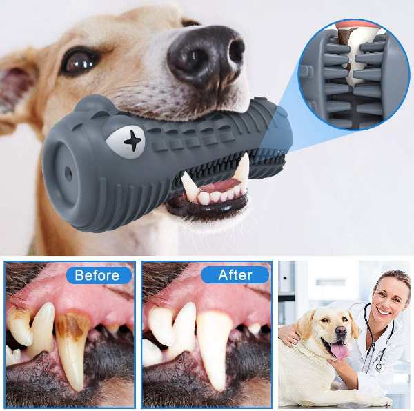 Dog Toothbrush Toy Benefit