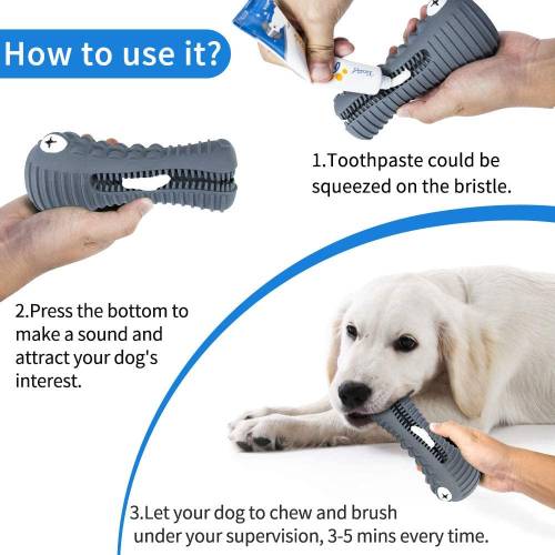 Dog Toothbrush Toy Usage