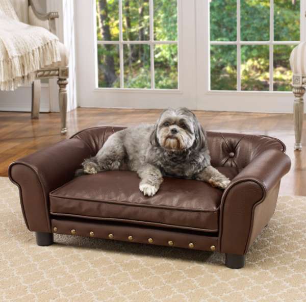 Enchanted brisbane dog sofa