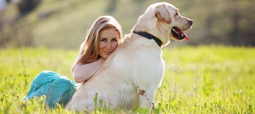 Read more about the article Gluten Free Dog Food