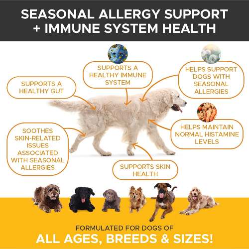 Pethonesty Dog Immune System Supplements