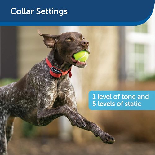 Petsafe Wireless Dog Fence Stubborn Dogs Controls