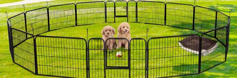 Read more about the article Portable Dog Fence