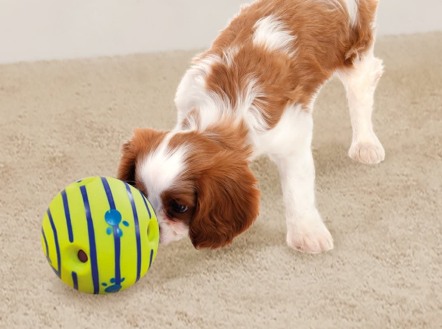 Read more about the article Interactive Dog Toys