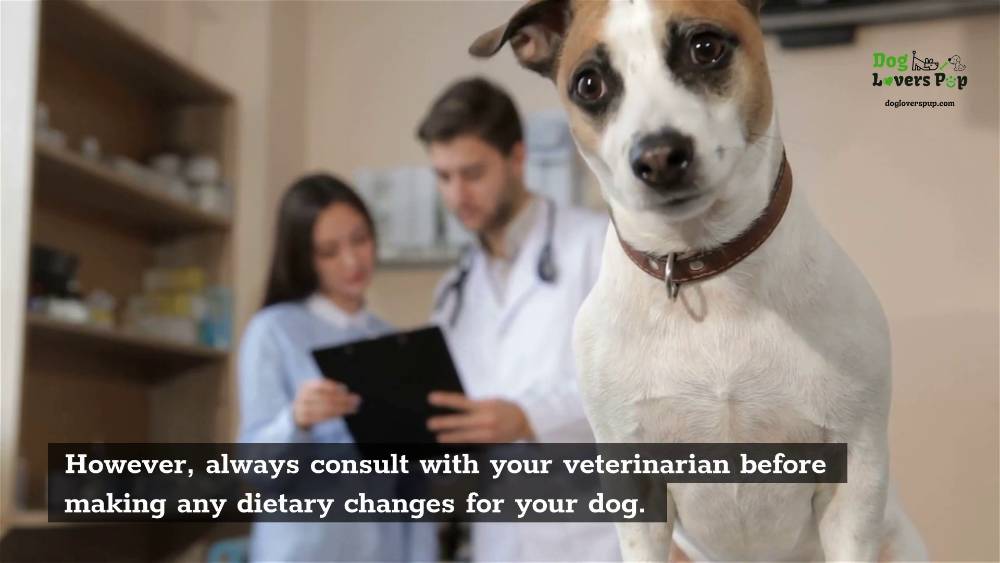 Consult Your Vet Before Switching to Hydrolyzed-Protein Food
