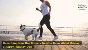 Dog owner raising healthy & happy dog