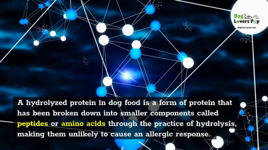 Hydrolyzed Dog Food