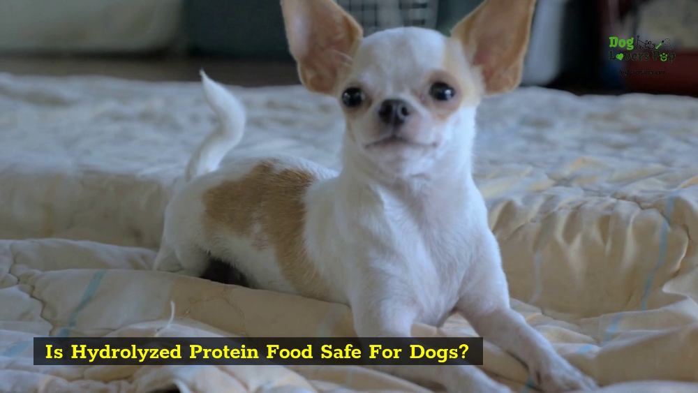 Is Hydrolyzed Protein Food Safe For Dogs