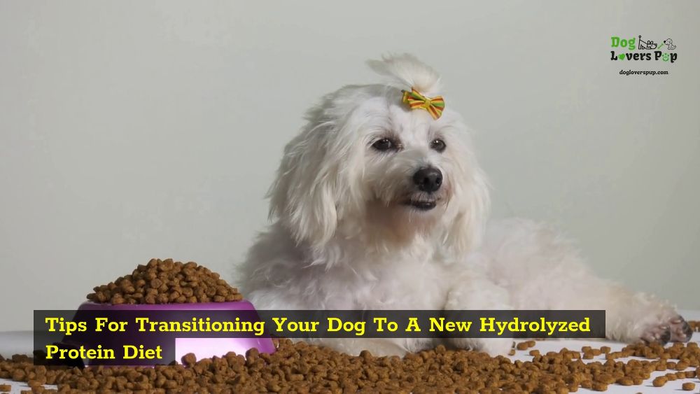 Tips for Transitioning Your Pup To A New Diet