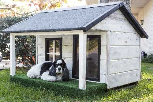 Read more about the article Outdoor Dog Kennel with Roof