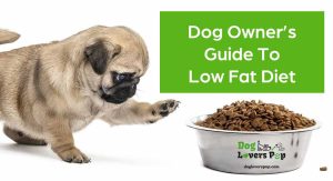 Dog owner guide to low fat diet for dogs