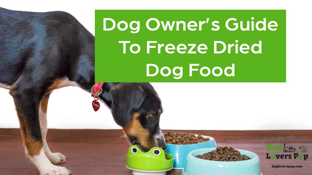 Guide to freeze dried raw dog food