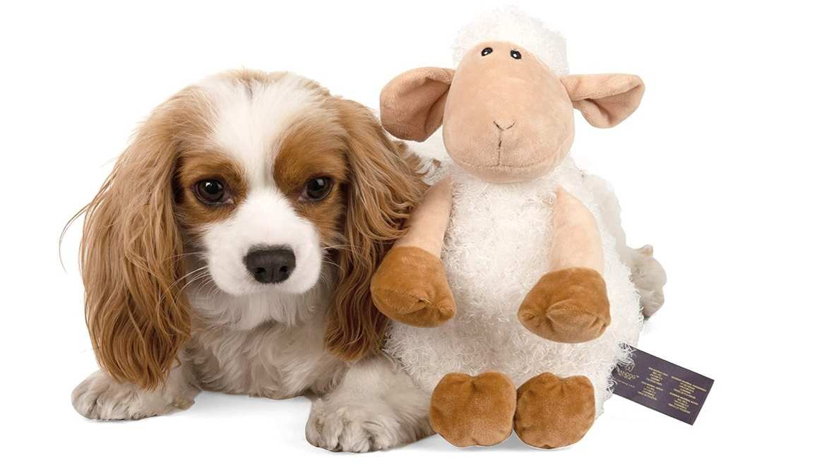Read more about the article Sheep Toy for Dogs