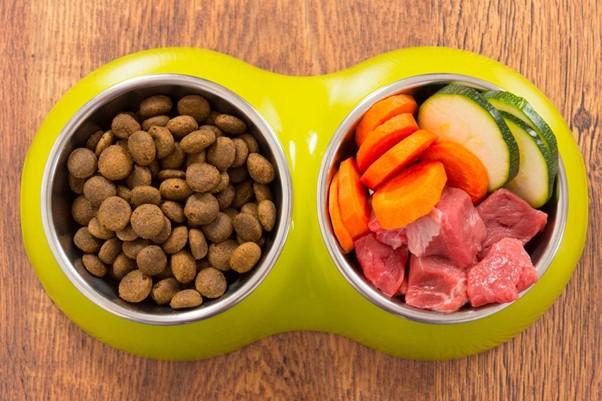 Read more about the article Top 15 Myths About Dog Food Debunked, Separating Fact from Fiction