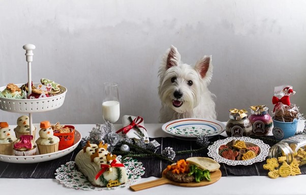 Read more about the article Delicious Holiday Treats Your Dog Will Love This Christmas
