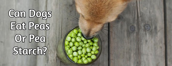 Can Dogs Eat Peas Or Pea Starch