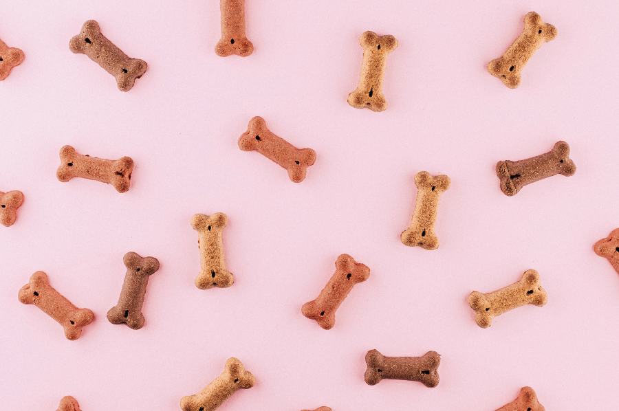 Read more about the article Grain vs. Grain-Free Dog Food: Which is best for your pup?
