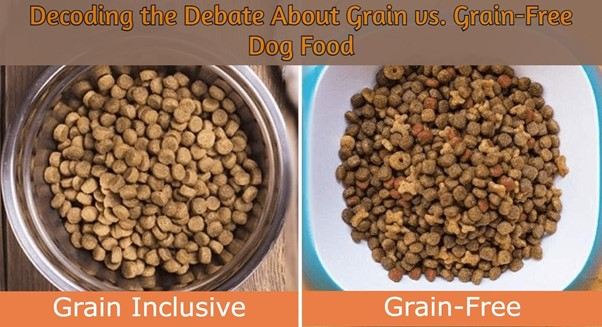 Grain vs Grain free Dog Food