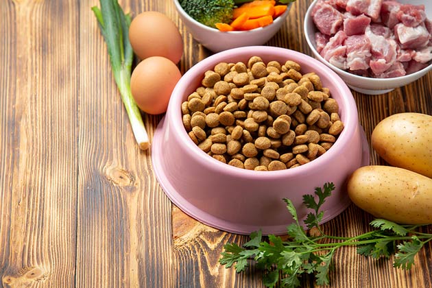 Healthy Dog Treats To Prevent Obesity