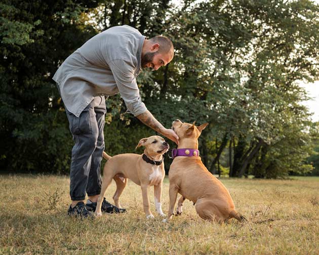 Importance of Exercise for Dogs