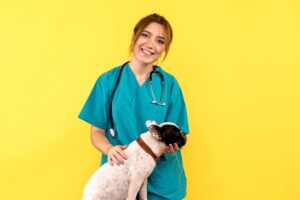 The Importance of Regular Vet Check-Ups for Your Dog