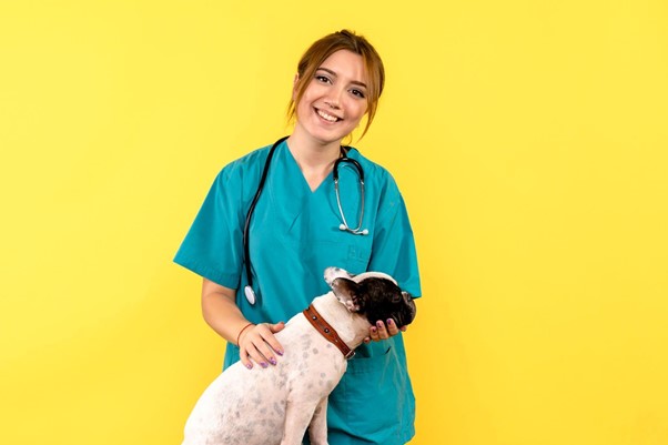 Read more about the article The Importance of Regular Vet Check-Ups for Your Dog