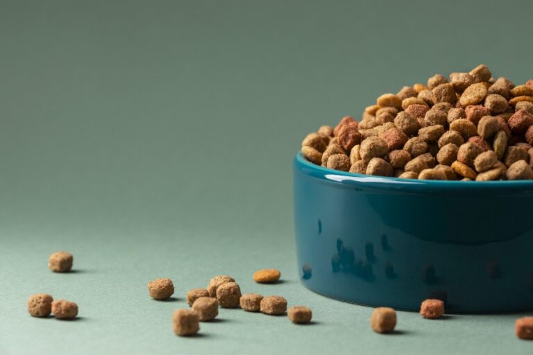 Read more about the article Everything You Need to Know About Corn, Gluten, Pea Starch, and Wheat in Dog Food