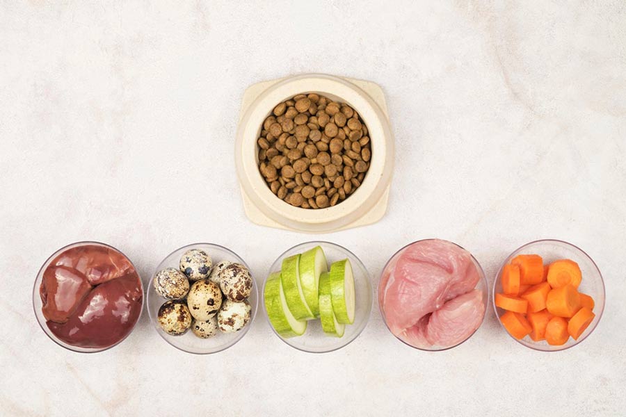 diet dog foods to prevent obesity