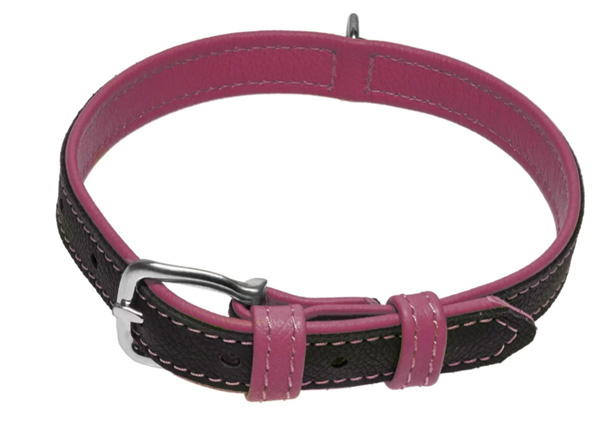 Buckle-Collars