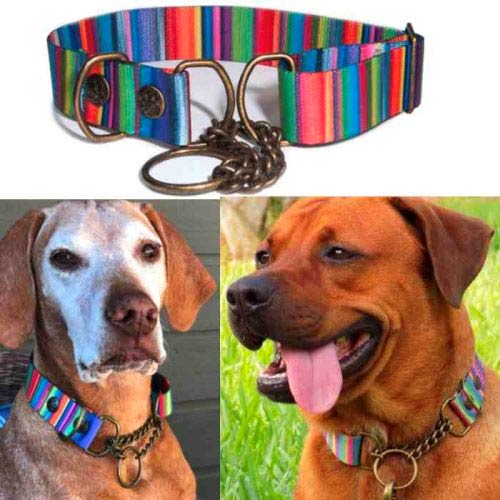 Martingale-Collar