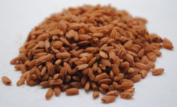 high-quality proteins such as chicken or beef