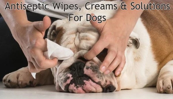 Antiseptic Wipes, Creams and Solutions for Dogs