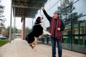 Dog Tricks and Games