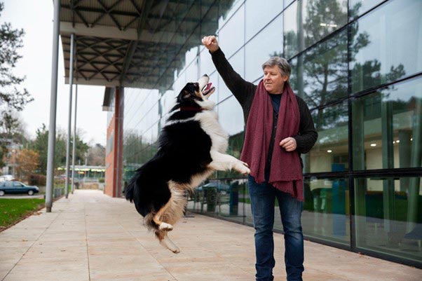 Read more about the article Types of Dog Training Methods: Which One is Right for Your Fido?