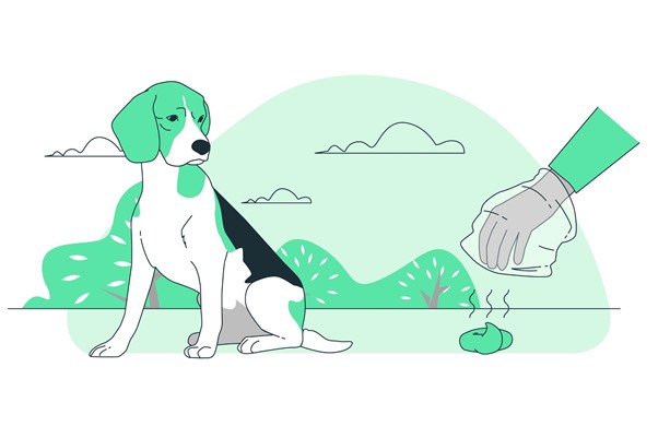 Potty Training a dog fast