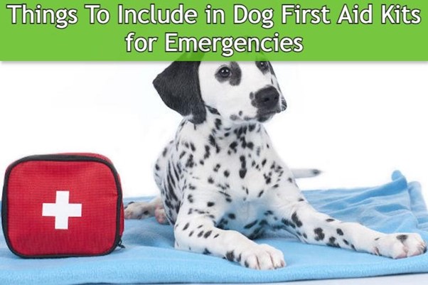 Things to Include in Dog First Aid Kits for Emergencies