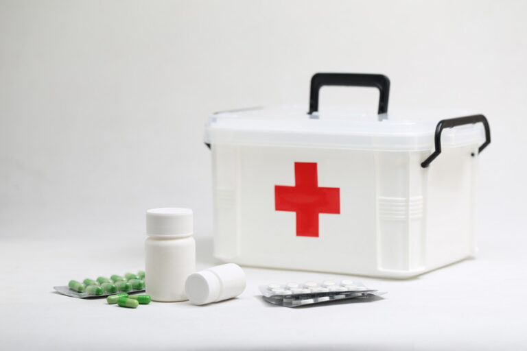 Read more about the article What to Include in Dog First Aid Kits for Emergencies