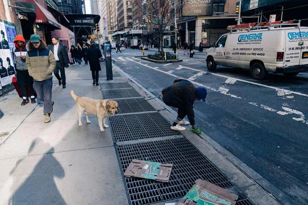 Read more about the article Dog Poop Bag Dispenser Buying Guide