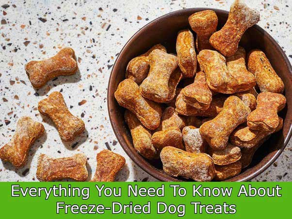 Guide to Freeze Dried Canine Treats