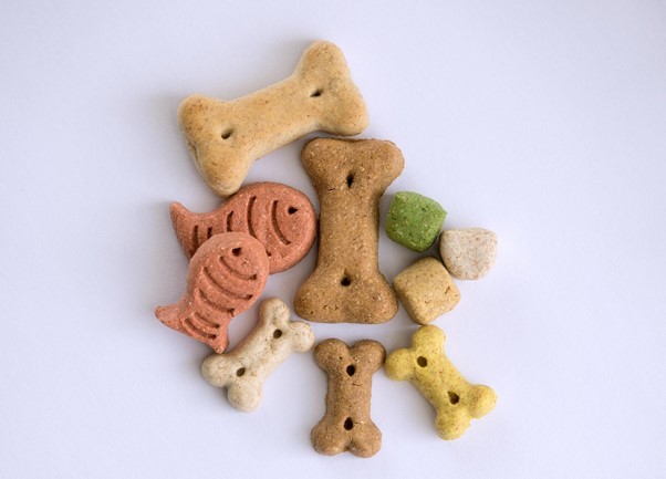 Read more about the article How To Select The Right Dog Treats For Training And Rewards