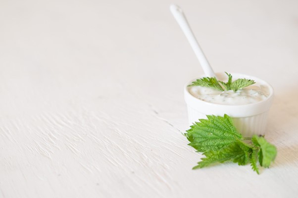 The Best Sources of Probiotics for Dogs