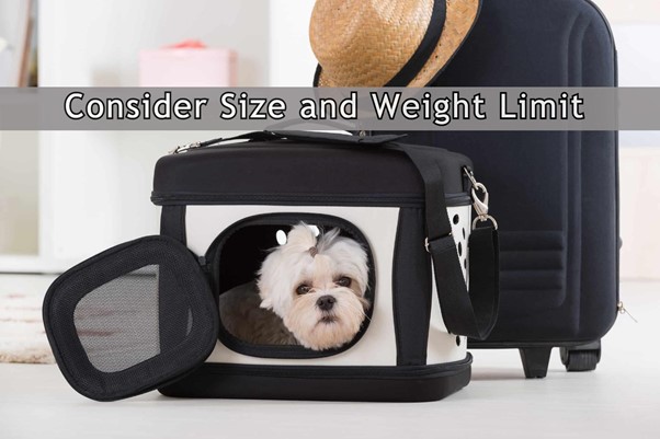 consider size and weight limit