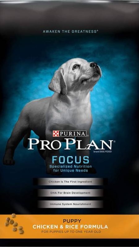 Best Dog Food Brands for Puppies