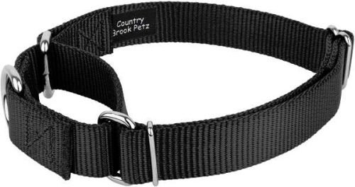 Martingale Dog Collar
