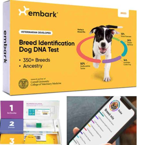 Embark Dog DNA Test Kit
