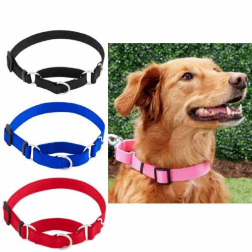Frisco Solid Nylon Slip-On Martingale Dog Collar
