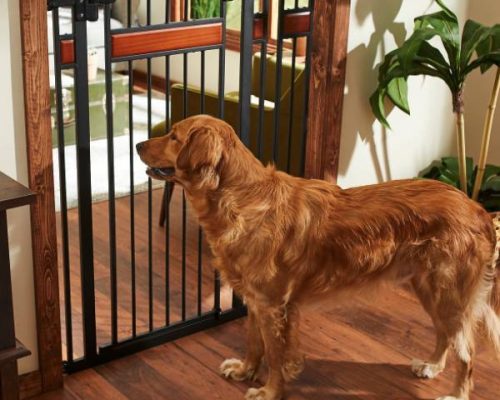 Frisco Wood Accents Extra Tall Dog Gate