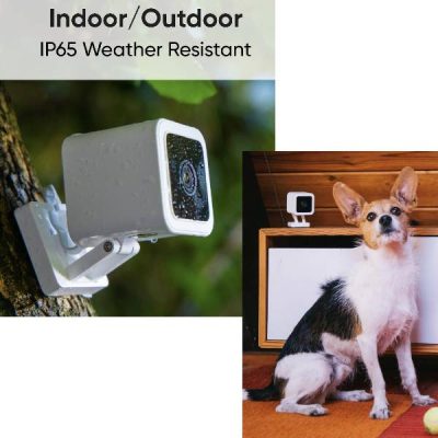 IP65 Weather Resistant Dog Camera