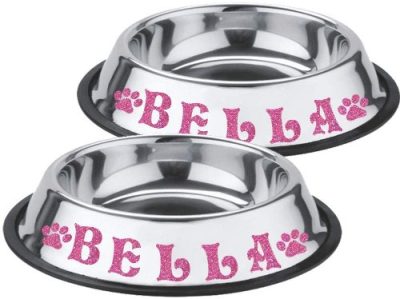 Jeyfel Personalized Stainless Steel Dog Bowl
